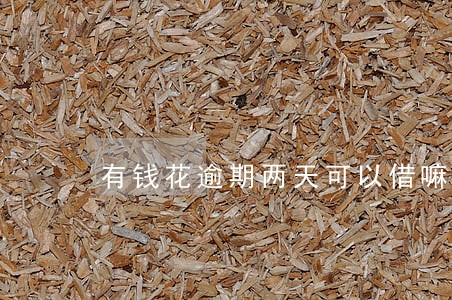 有钱花逾期两天可以借嘛 有钱花逾期两天可以借嘛