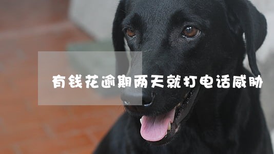 有钱花逾期两天就打电话威胁 有钱花逾期两天就打电话威胁