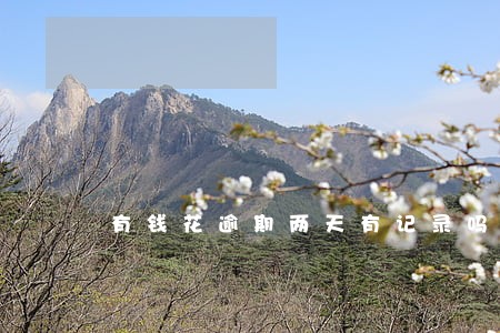 有钱花逾期两天有记录吗 有钱花逾期两天有记录吗