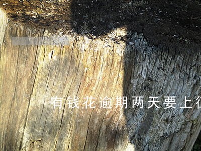 有钱花逾期两天要上征信 有钱花逾期两天要上征信