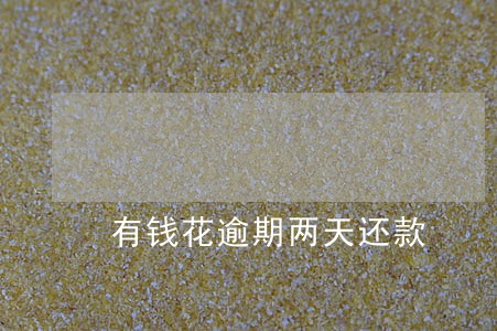 有钱花逾期两天还款 有钱花逾期两天还款