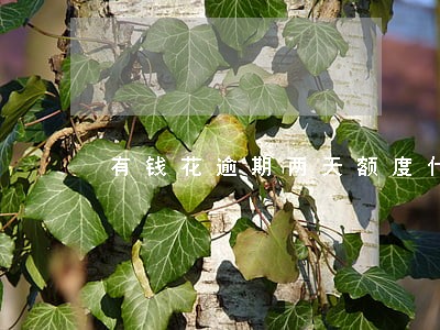 有钱花逾期两天额度什么时候恢复 有钱花逾期两天额度什么时候恢复