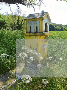 有钱花逾期为什么是华夏银行