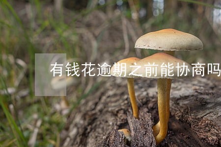 有钱花逾期之前能协商吗