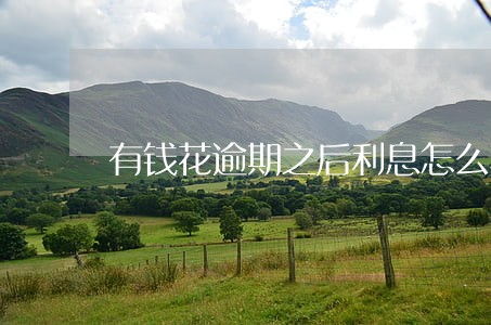 有钱花逾期之后利息怎么样 有钱花逾期之后利息怎么样