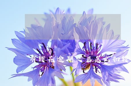 有钱花逾期之后怎么扣钱