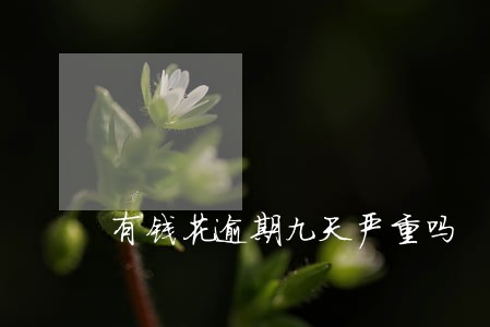 有钱花逾期九天严重吗 有钱花逾期九天严重吗
