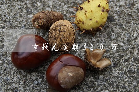 有钱花逾期了20万 有钱花逾期了20万