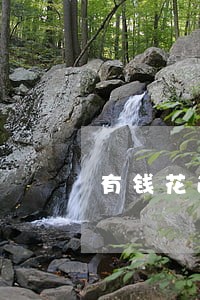 有钱花逾期了上征信了能消除吗
