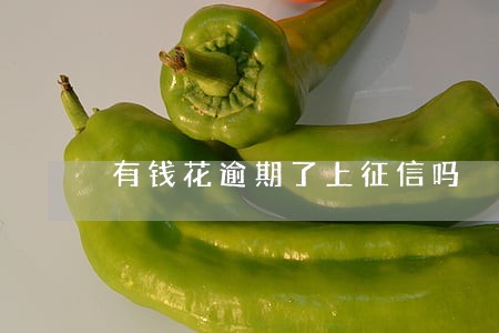 有钱花逾期了上征信吗 有钱花逾期了上征信吗