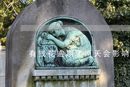 有钱花逾期了两天会影响征信吗 有钱花逾期了两天会影响征信吗