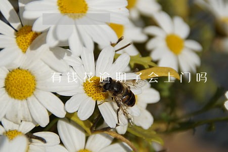 有钱花逾期了会上门吗 有钱花逾期了会上门吗