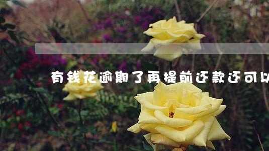 有钱花逾期了再提前还款还可以借 有钱花逾期了再提前还款还可以借