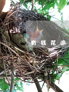 有钱花逾期了十天有什么后果