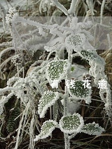 有钱花逾期了发来的信息 有钱花逾期了发来的信息