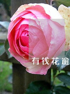 有钱花逾期了可以分期还款吗