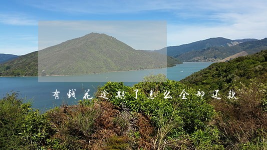 有钱花逾期了怎么全部还款