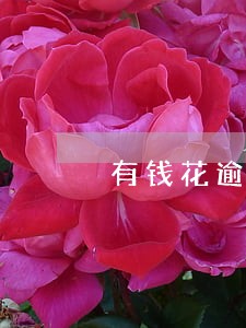 有钱花逾期了怎么搞