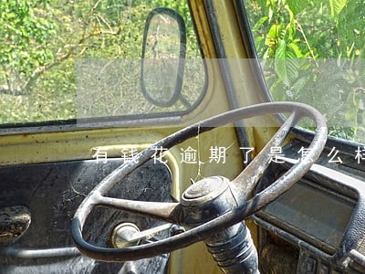有钱花逾期了是怎么样的流程