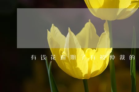 有钱花逾期了有被仲裁的吗