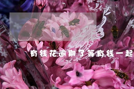 有钱花逾期了等有钱一起还可以吗