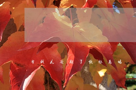 有钱花逾期了能协商吗 有钱花逾期了能协商吗