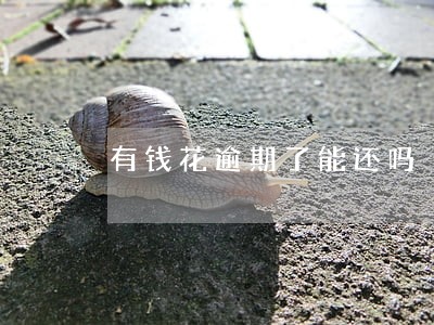 有钱花逾期了能还吗