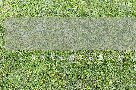 有钱花逾期了该怎么办 有钱花逾期了该怎么办