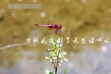 有钱花逾期了说整理诉讼材料 有钱花逾期了说整理诉讼材料