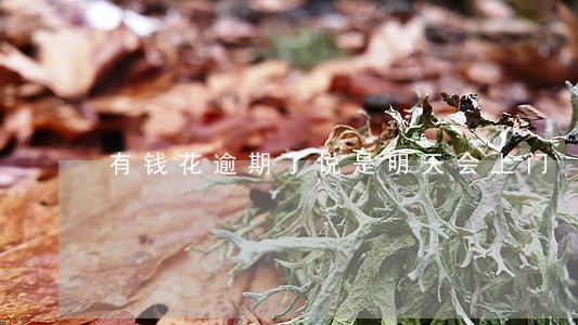 有钱花逾期了说是明天会上门 有钱花逾期了说是明天会上门