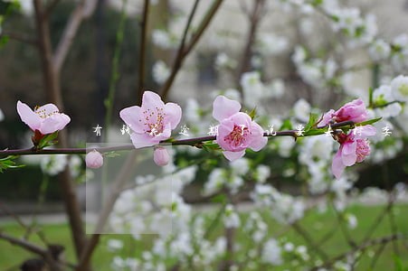 有钱花逾期了说要去村委走访 有钱花逾期了说要去村委走访
