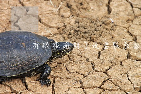 有钱花逾期了说要联系家人 有钱花逾期了说要联系家人