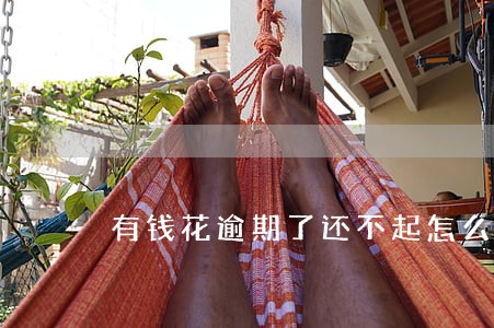有钱花逾期了还不起怎么办 有钱花逾期了还不起怎么办