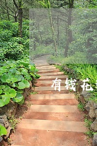有钱花逾期了还可以借款吗 有钱花逾期了还可以借款吗
