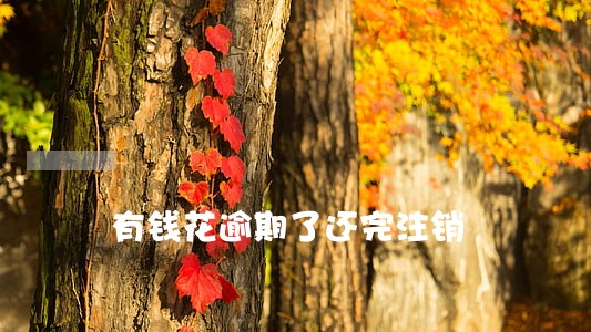 有钱花逾期了还完注销 有钱花逾期了还完注销
