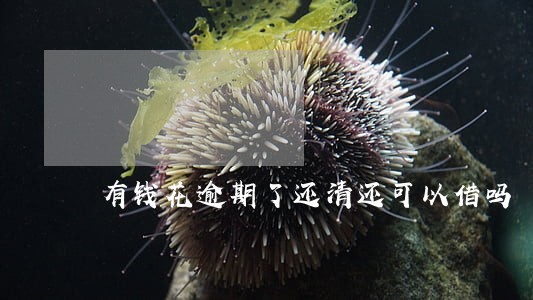 有钱花逾期了还清还可以借吗 有钱花逾期了还清还可以借吗