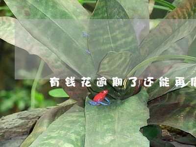 有钱花逾期了还能再借吗 有钱花逾期了还能再借吗