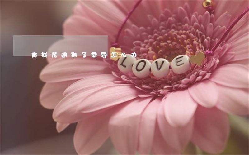 有钱花逾期了需要怎么办 有钱花逾期了需要怎么办