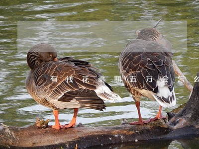 有钱花逾期五万会怎么样 有钱花逾期五万会怎么样