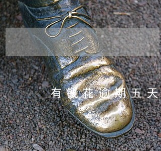 有钱花逾期五天金额翻倍 有钱花逾期五天金额翻倍
