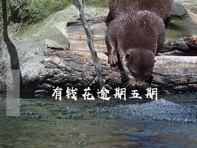 有钱花逾期五期 有钱花逾期五期