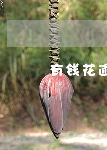 有钱花逾期亲身经历 有钱花逾期亲身经历