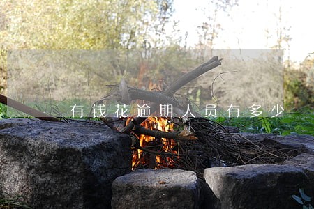 有钱花逾期人员有多少 有钱花逾期人员有多少