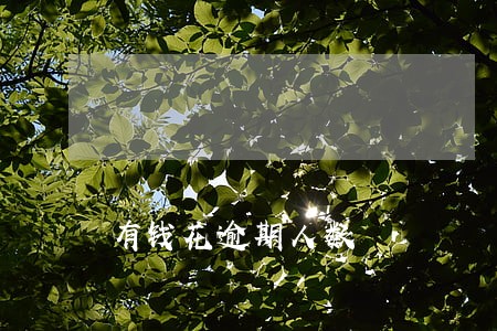 有钱花逾期人数 有钱花逾期人数