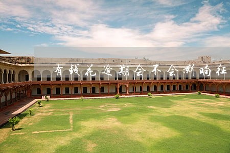 有钱花逾期会不会影响征信 有钱花逾期会不会影响征信