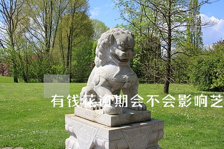 有钱花逾期会不会影响芝麻分