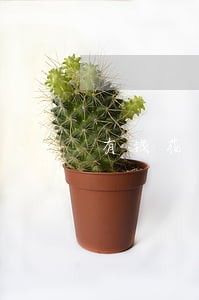 有钱花逾期会不会影响花呗 有钱花逾期会不会影响花呗