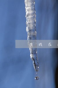 有钱花逾期会乱打通讯录吗 有钱花逾期会乱打通讯录吗