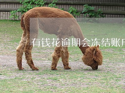 有钱花逾期会冻结账户吗 有钱花逾期会冻结账户吗