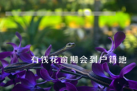 有钱花逾期会到户籍地 有钱花逾期会到户籍地
